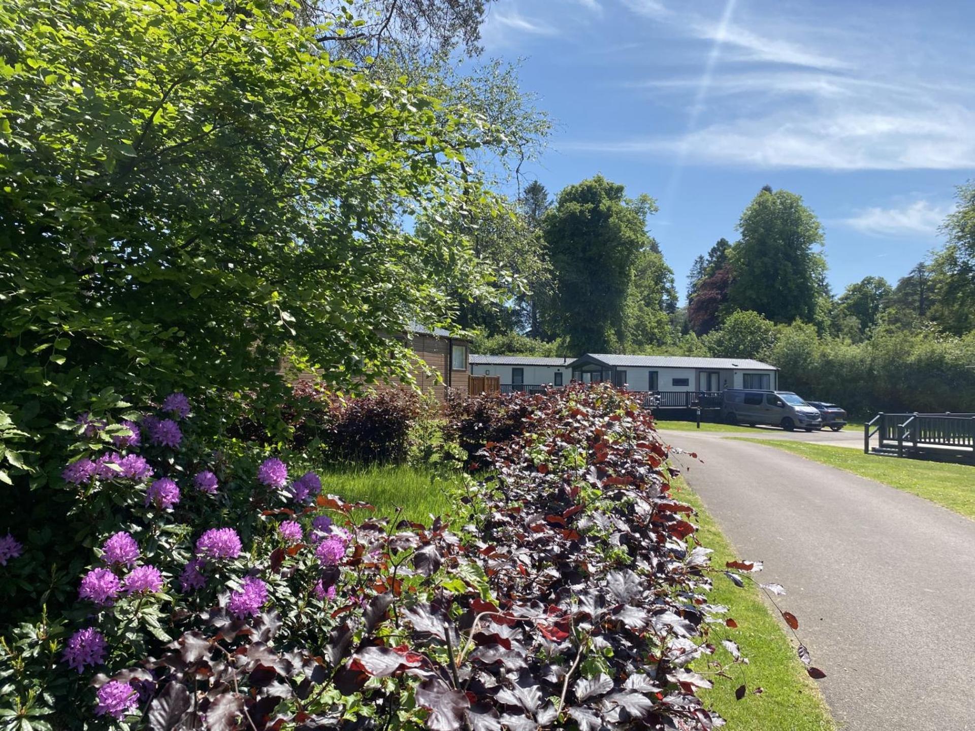 Callander Woods Holiday Park Exterior foto